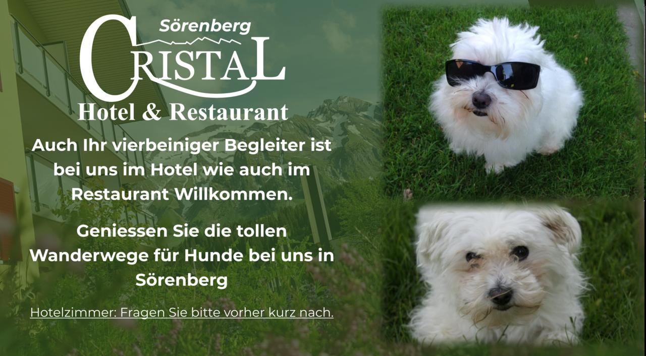 Hotel Cristal Soerenberg Exterior photo